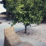 Vila Sevasti *